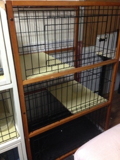 猫 三段ゲージ