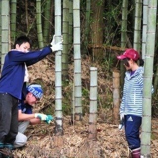 木竹を伐採する木こり体験！ 伐採した木竹を利用した、“ごじゃ”(...