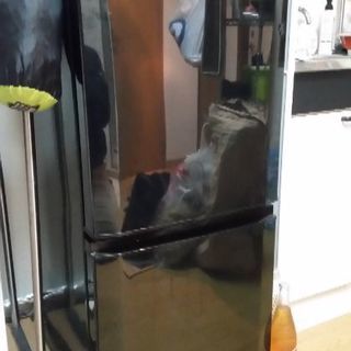 冷蔵庫売ります