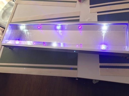 水槽用LED　AXY　L1　限定品