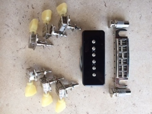 Larrivee Ventura RS-2 Dual P-90