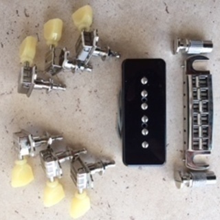 Larrivee Ventura　RS-2 Dual P-90