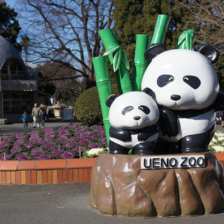 1月6日(1/6)  祝！赤ちゃんパンダ誕生！上野動物園に人気の...