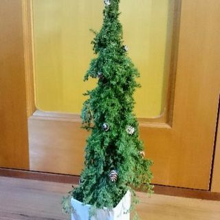 ●生の薩摩杉で作ったスリムなクリスマスツリー51cm●ハンドメイド●