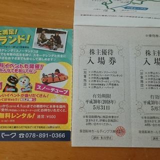 阪急阪神HD優待券 六甲山スノーパーク 入場券２枚 雪ゾリ無料 ...