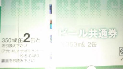 希少・激レア】ウミガメ(タイマイ・海亀)剥製 鼈甲(べっこう 希少・激レア】ウミガメ(タイマイ・海亀)剥製 鼈甲(べっこう