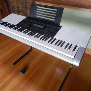 カシオ 電子キーボード 76標準鍵 ベーシックタイプ WK-220