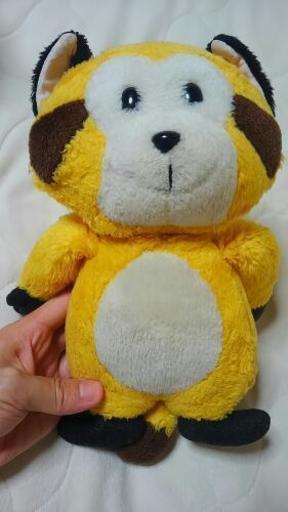 あらいぐまのぬいぐるみ ころまるくん を探しております Pika 志木の買いたい くださいの助け合い ジモティー