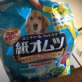 犬用おむつ