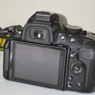 お正月を写そう♪動画も楽々♪♪一眼レフカメラに挑戦♪NIKON D5100+レンズ