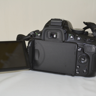 お正月を写そう♪動画も楽々♪♪一眼レフカメラに挑戦♪NIKON D5100+レンズ