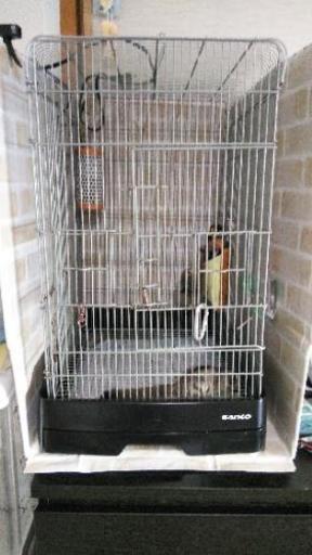 モモンガ飼育セット