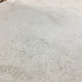 白のカーペット