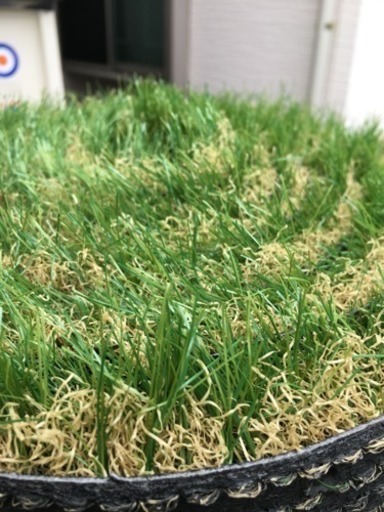 ふかふか リアル 人工芝 LOWYA 17000円相当 ガーデニング 庭やベランダに
