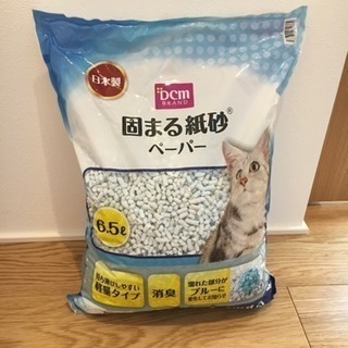 猫砂（紙砂）