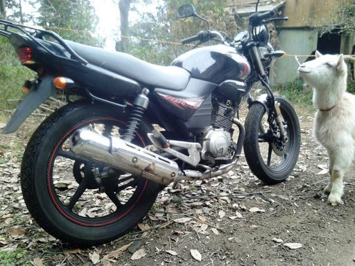 (੭ु´･ω･`)੭ु⁾⁾　現車確認必須！交渉可！junk‼ジャンク!?　YBR125 天剣07　実動