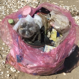 12月29日（金）プラスチックゴミ拾い − 三重県