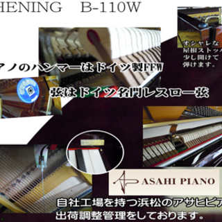 新春特価！BEHNING新品展示1台限り