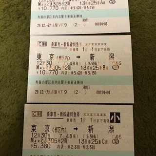 12/30 東京→新潟 上越新幹線指定席