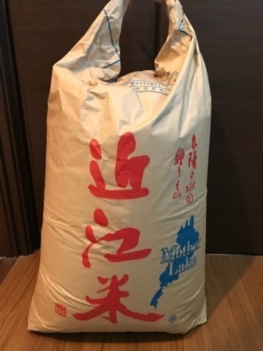 近江米 30kg 新米 玄米