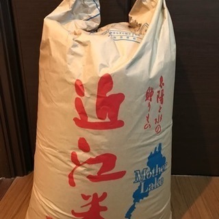 近江米 30kg 新米 玄米