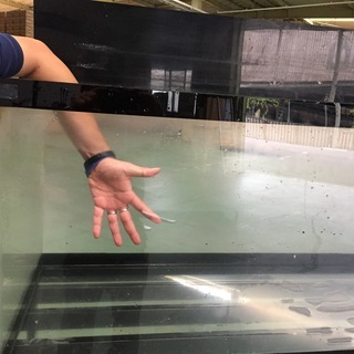 大型アクリル水槽 1500×600×600セット