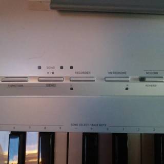 カシオ 88鍵 Privia px-135白 専用台付