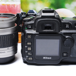 ☆入門機にして可愛い本格派☆ニコン D50 レンズセット