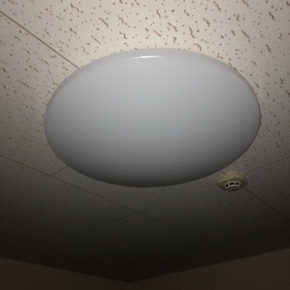 電気