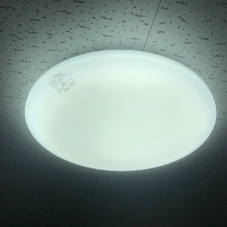 電気