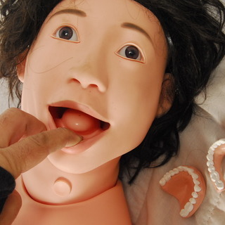 介護 看護 実習モデル フィギュア 人形