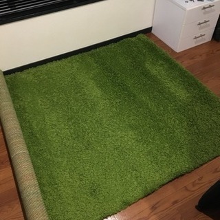 IKEA カーペット ラグ 緑 HAMPEN