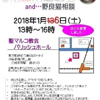 第7回合同猫の譲渡会＆野良猫相談会