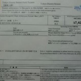 東京ディズニーリゾート パスポートペアチケット（大人）