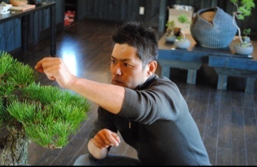 春を感じるインテリア盆栽 桜盆栽ワークショップ Matutaku 吹上のワークショップのイベント参加者募集 無料掲載の掲示板 ジモティー