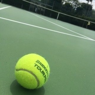 テニス初心者未経験者募集 - 市川市