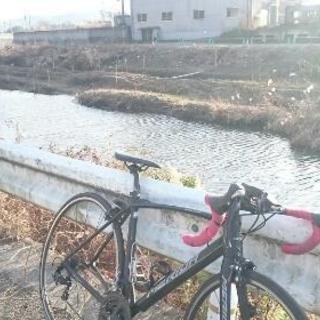 ロードバイク　メリダ　スクルトゥーラ100