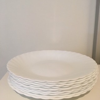プレート10皿セット (ホワイト)