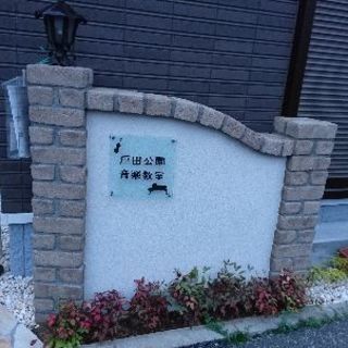 戸田公園音楽教室(ピアノ、ヴァイオリン、フルート、チェロ、サックス...