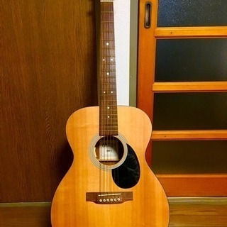 ★お得★Martin OM-1