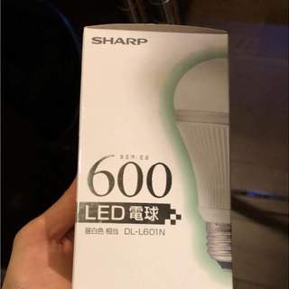 新品未開封 SHARP LED電球 DL L601N