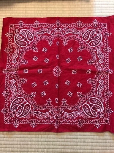 赤いバンダナ ぴーちこ 大森町のその他の中古あげます 譲ります ジモティーで不用品の処分