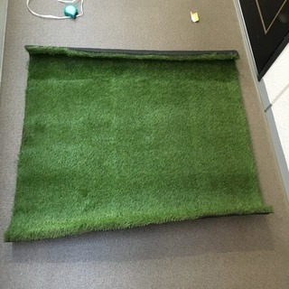 芝生の様なカーペット