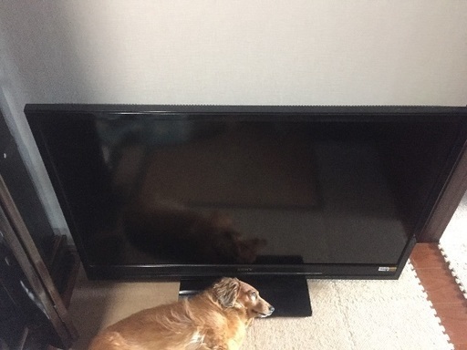 テレビ sony 46インチ 2008年