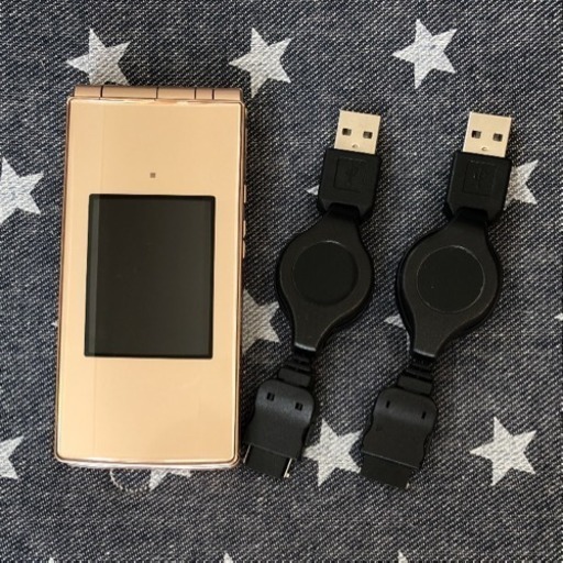 docomoガラケー☆富士通F-02Aゴールド☆充電ケーブル2本付き (ねこりん