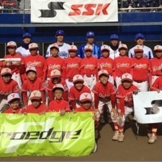 小学生の硬式野球  横浜中央リトルリーグ