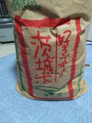 29年茨城県産ミルキークィーン30kg