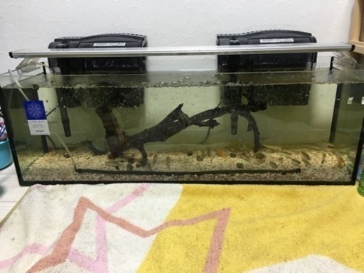 90センチ水槽