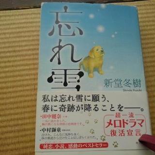 忘れ雪　読んでください