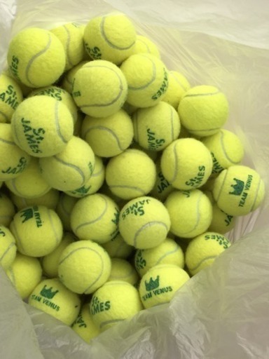 テニスボール ダンロップst 格安 なおなお 和泉のテニスの中古あげます 譲ります ジモティーで不用品の処分